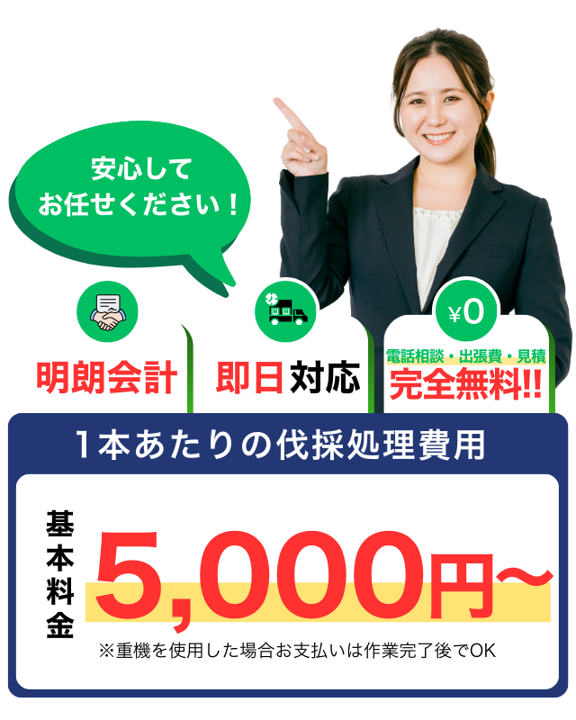 訴求ボディ