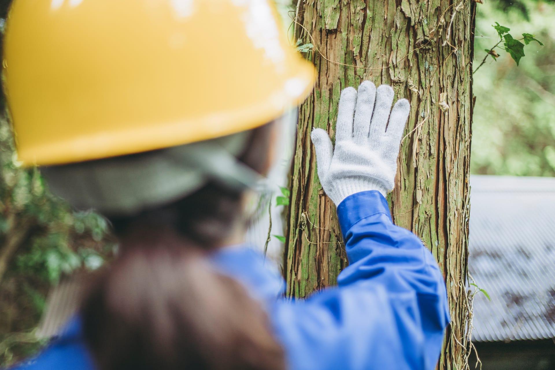 地域のニーズに合った提案