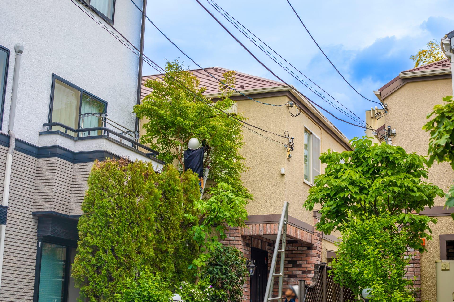 お庭全体の剪定・手入れ